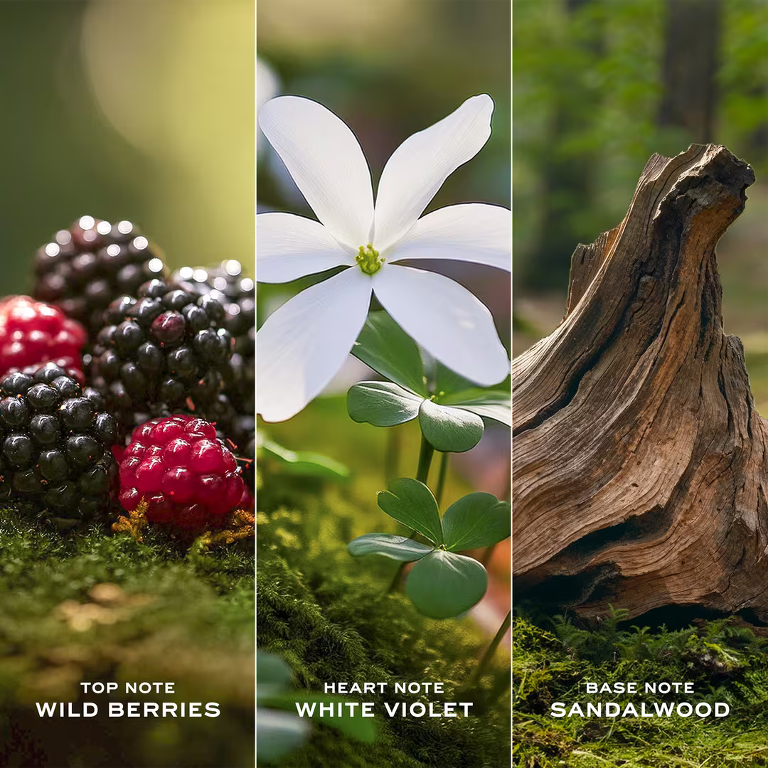 Marc Jacobs Daisy Eau de Toilette – 50 ml / 1.6 fl oz